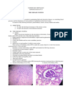 Ex13 Urinary Sys Histology Lab