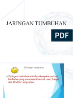 Jaringan Tumbuhan