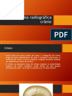 Anatomia radiográfica do crânio: ossos cranianos e faciais