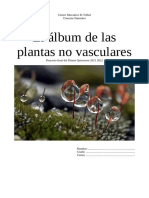 El álbum de las plantas no vasculares
