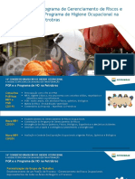 NR 09 - A Contribuição Da Higiene Ocupacional para A Eficácia Do PGR - Cristiane de Moraes Nascimento Simões