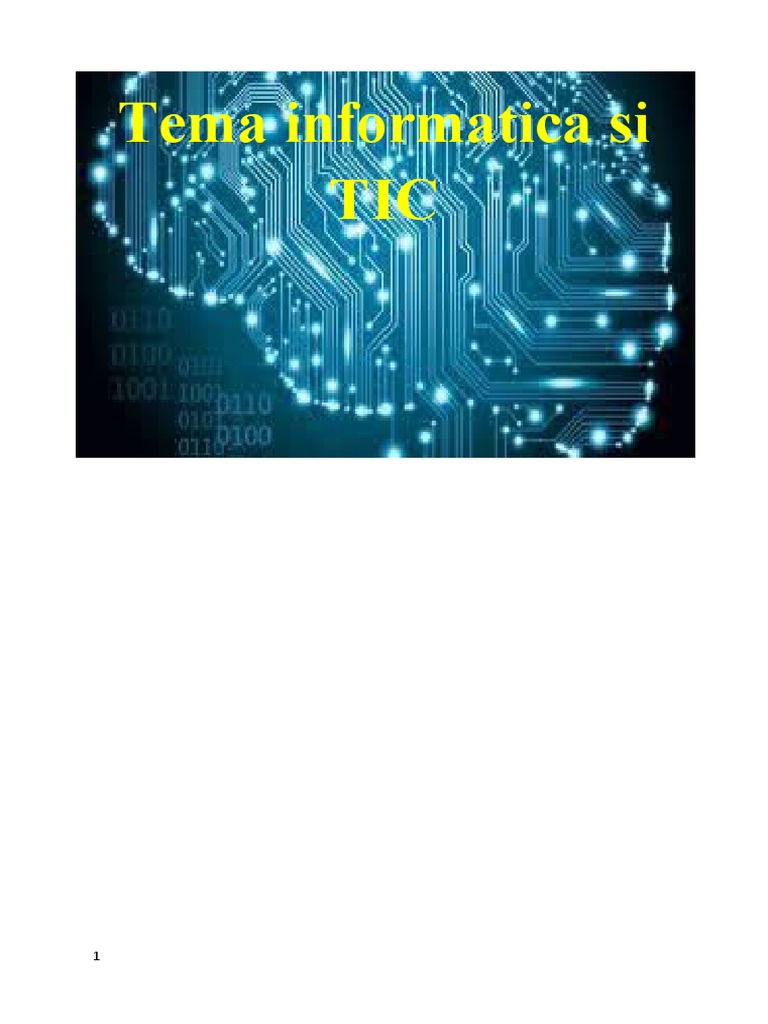 Tema Informatica Si TIC | PDF