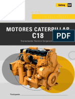 Treinamento Caterpillar C18 motor