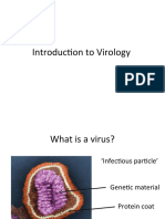 Introduction Virology 2021