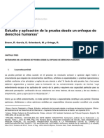 6.4.3 Estudio y Aplicación de La Prueba Desde Un Enfoque de Derechos Humanos