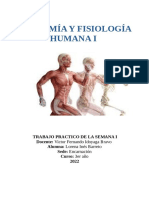 Semana I - Ejercicio - Anatomía y Fisiología Humana I