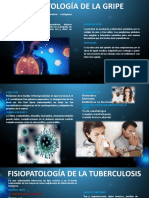 Gripe, Tuberculosis y Sinusitis