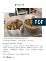 Reporte de Practica Granola