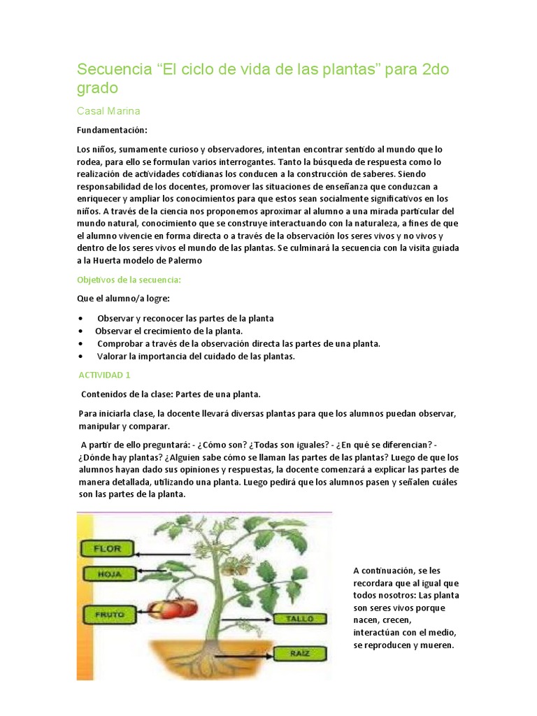 Secuencia plantas 2do grado pdf plantas m todo de ense anza