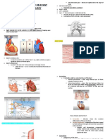 CVP Review of Relevant Anatomy Physiology Sario