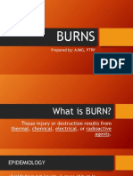 Burns