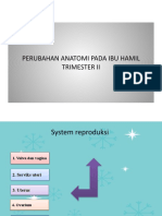 Perubahan Anatomi Trimester 2