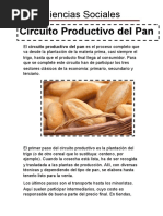 Circuito Productivo del Trigo en Argentina | PDF | Trigo | Harina