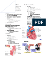 Biology NMAT Notes AnatomyCirculatory and Respiratory