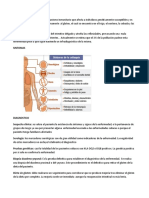 CELÍACA Es Una Patología de Mecanismo Inmunitario