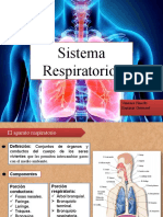 Sistema Respiratorio - Diapositivas