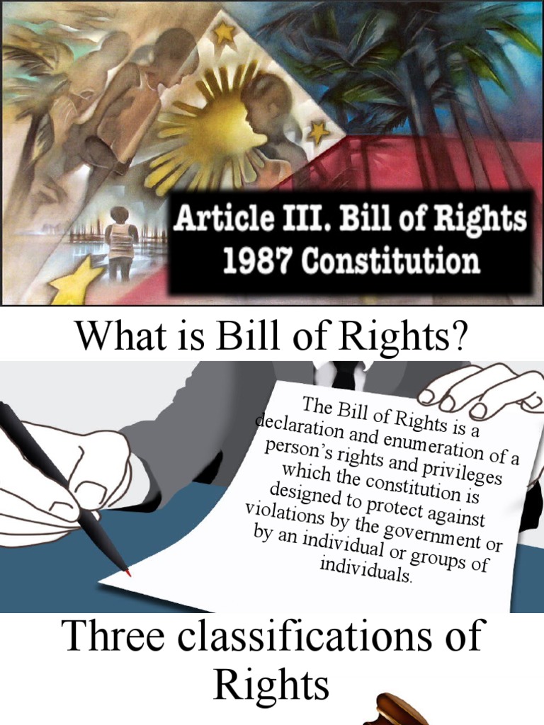 Bill of Rights PDF Search And Seizure Due Process Clause