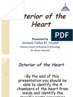 Interior of the Heart