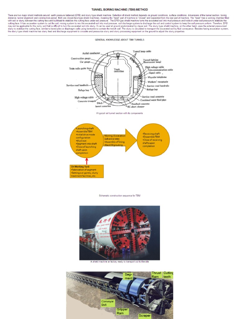 TBM Method | PDF | Language Arts & Discipline | Foreign Language Studies