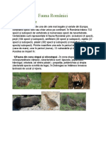 Fauna Romania