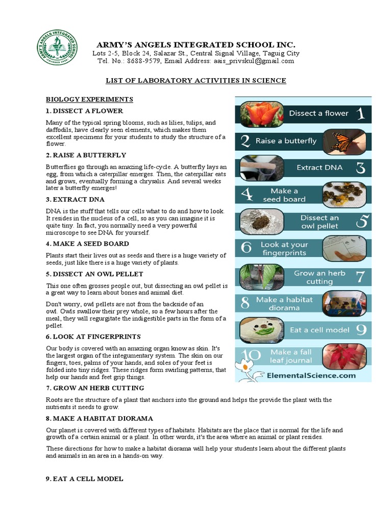 Science List of Lab Activities PDF Projectiles Plants