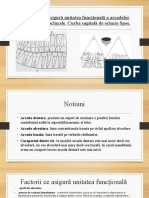 Factorii Ce Ne Asigură Unitatea Funcţională A Arcadelor Dentare. Ariile Ocluzale. Curba Sagitală de Ocluzie Spee