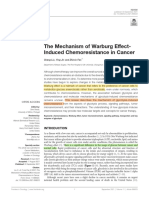 Cancer Anaerobic Glycolysis