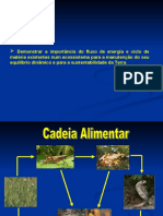 Importância Do Ciclo Da Matéria e Do Fluxo de Energia