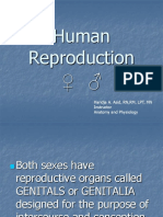 Reproductive System Topic 1 Normal Ob