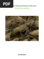 Download Kertas Kerja Pen Gurus An Ternakan Udang Galah by Fazilah Zainal Abidin SN59930338 doc pdf