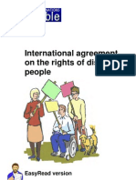 UN Disability Rights Agreement Guide