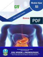 LKPD Sistem Pencernaan Makanan 3