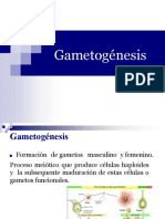 Unidad II Tema 1 y 2 Gametogénesis - Genética