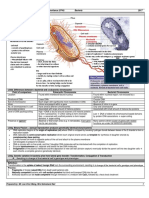 10) Bacteria Summary - 9744 - 2017