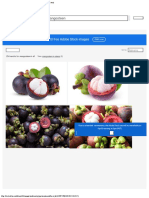 Mangosteen Images - Browse 254 Stock Photos, Vectors, and Video Adobe Stock - PDFJ