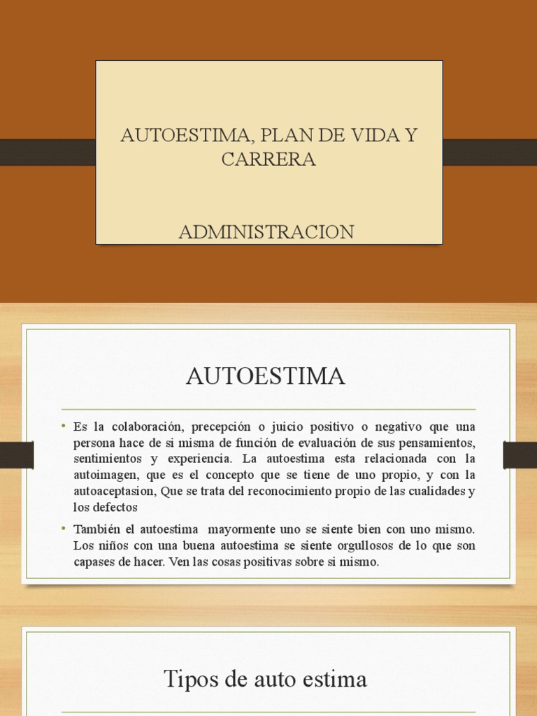 PLAN DE VIDA Daniela | PDF | Autoestima | Conceptos psicologicos