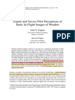 2003 Expert and Novice Pilot Perceptions of Static In-Flight Images of Weather