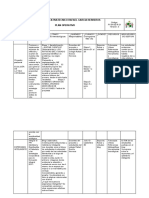 PLAN OPERATIVO 2021 PPI Valores y Espiritualidad Rafaelista