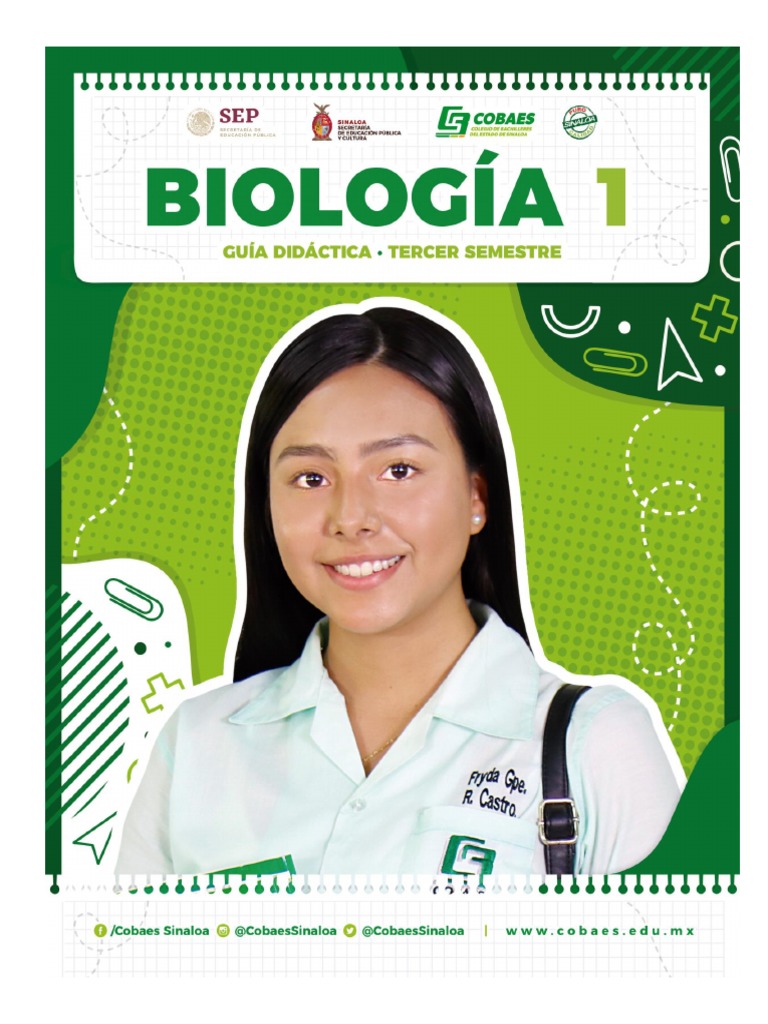 9272 - Guía - Didáctica BIOLOGIA I | PDF | Carbohidratos | Glucosa