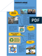 Infografia CONTAMINACIÓN AMBIENTAL