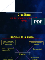 Glucolisis Uniprot