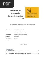 Informe Fina Practicas Preprofesionales