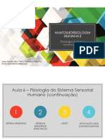 Anatomofisiologia Humana I - Aula 6 - Fisiologia Do Sistema Sensorial Humano (Continuação)