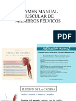 Examen Manual Muscular de Miembros Pélvicos