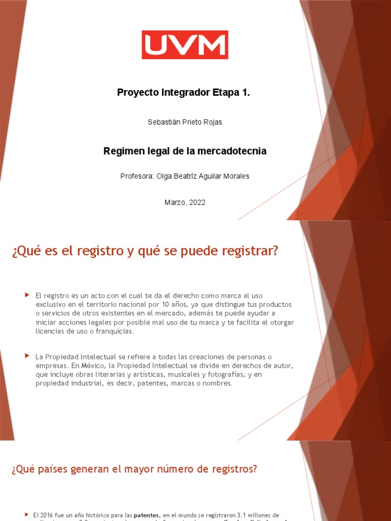 Proyecto Integrador Etapa 1 - SPR | PDF | Patentar | Propiedad intelectual