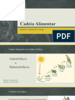 Cadeia Alimentar 1