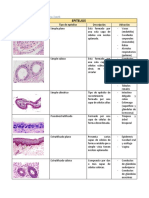 Tipos epiteliales TS citología cervical