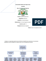 Bioquimica