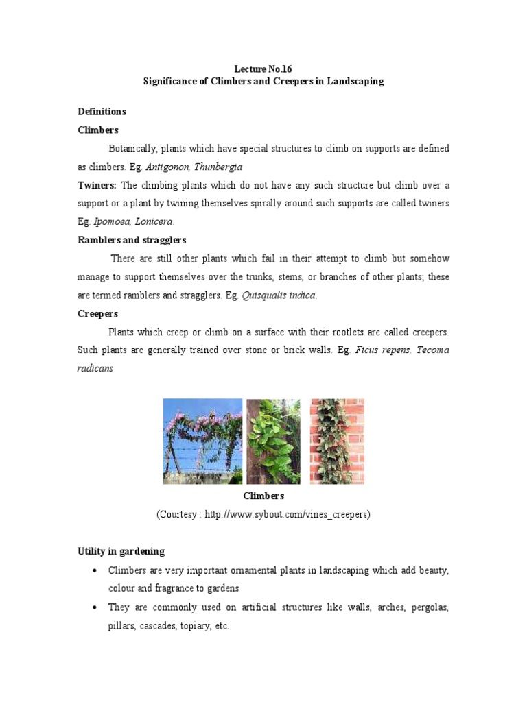 Significance of Climbers and Creepers in Landscaping PDF Flowers Leaf