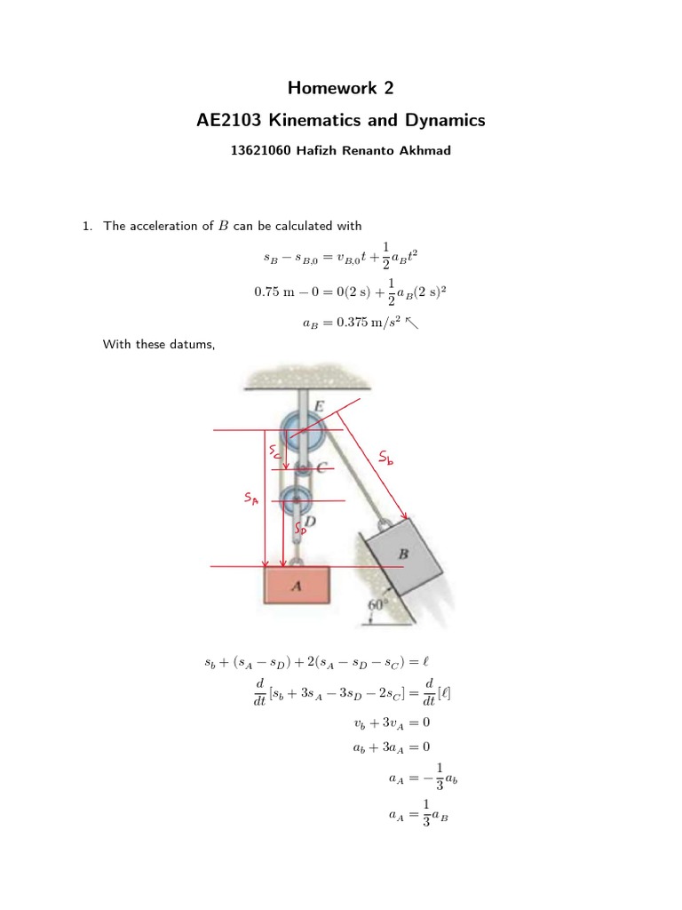 Roller Coaster Forces and Heights PDF Projectiles Physics